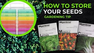 How to Store Your Garden Seeds | Small Family Adventures