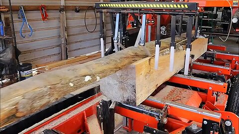 See What Happens When You Put A Rotten Log On The Sawmill,