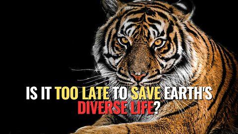 Is It Too Late to Save Earth's Diverse Life?