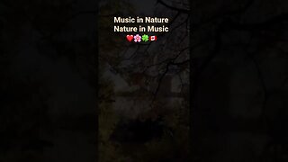 Invitation for Music in Nature | Higher Love