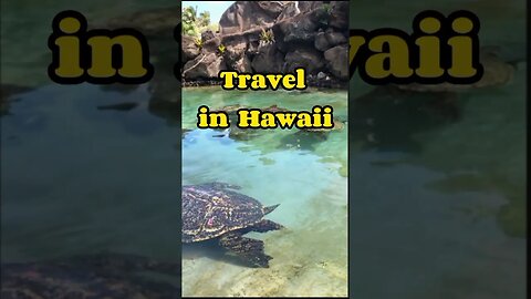 Travel in Hawaii #shorts #travel #hawaii #hawaiitravel #hawaiitravelguide