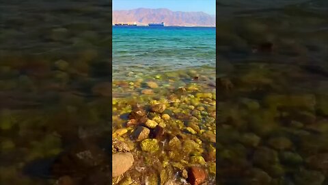 A Port on the Red Sea | 🎧Natural Springs of Wonder | Pamela Storch