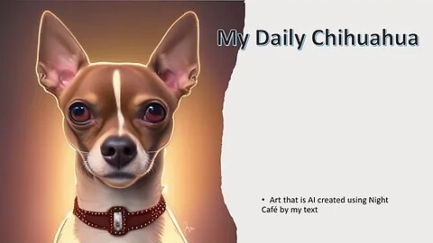 My Daily Chihuahua