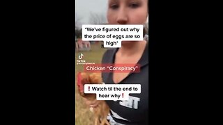 Chicken Feed 2