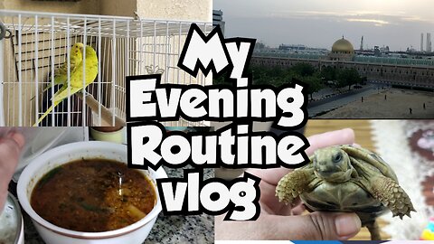 Evening Routine Vlog Cooking LEGO Ship and Turtle Time| My Routine in UAE Sharjah | Tuba Durrani C&M