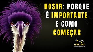 NOSTR | Oque é, como entrar, clients, reles e mais (Por @liberdade_descentralizada ) - Base Bitcoin