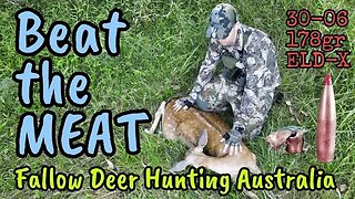 Fallow Deer Hunting || Tikka T3X || 30-06 || Hornady 178 Grain ELD-X