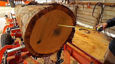 The Cold Hard Truth About Running A Sawmill Business