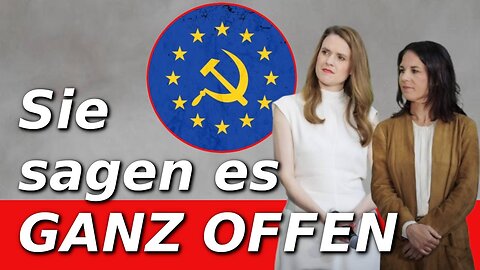 Was die Wahl der Grünen für die EU bedeuten würde@kitchen news🙈