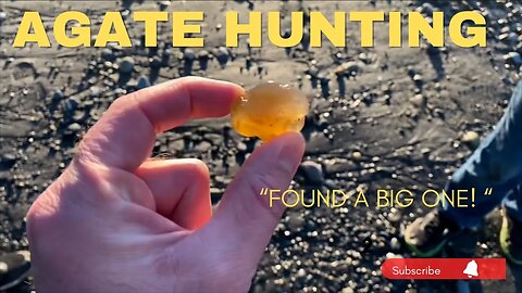 Agate hunters northwest! West beach Whidbey Island “hot” agate hunting ground!