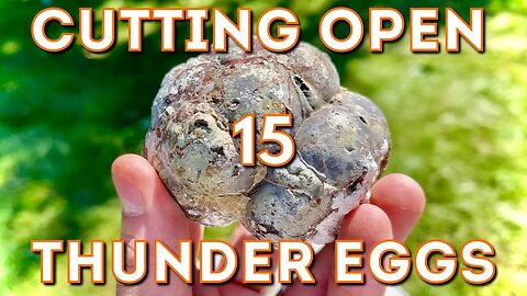 Thunder Egg Cores Exposed by Cutting with Lapidary Saw! (MINERALS)