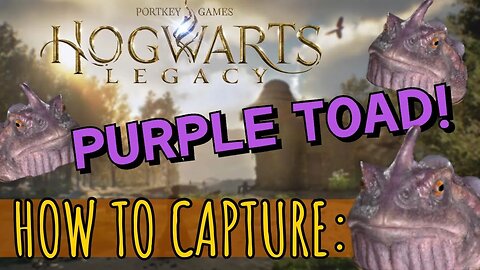 ⚡Where to Find and Capture the Purple Toad in Hogwarts Legacy⚡