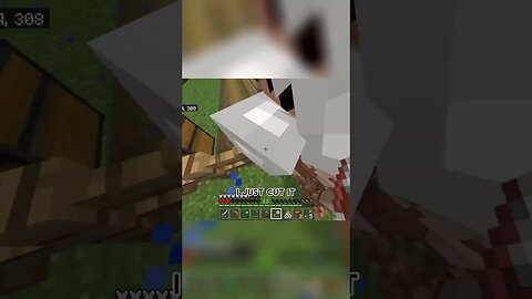 Wool Go POOF 😂🤣 #minecraft #minecraftshorts #reactionvideo