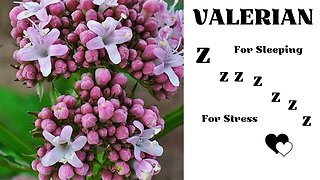 Valerian Zzzzzzz