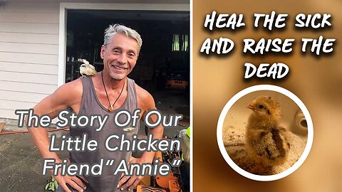Heal The Sick & Raise The Dead - The Story Of Our Little Chicken Friend "Annie" | Dr. Robert Cassar