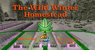 The Wild Winter Homestead