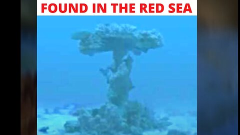 What's At The Bottom Of The RED SEA? PROOF!