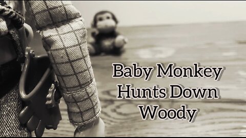 Baby Monkey Hunts Down Woody