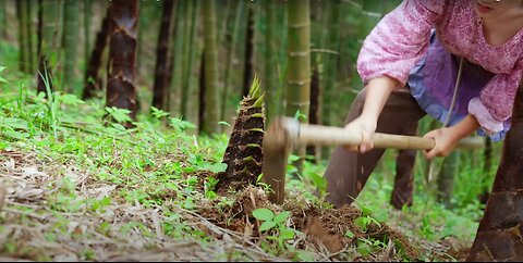 Bamboo Shoot Feast | Various ways to eat spring bamboo shoots, the nostalgia to me.
