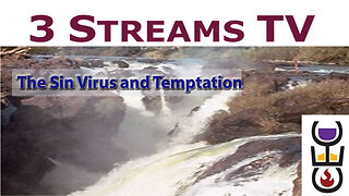 The Sin Virus and Temptation