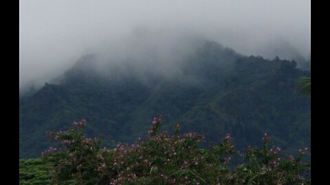 Veiw from our house in Hawaii Mountains near honolulu looking up at Waianae mountain range