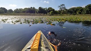 When a Plan Comes Together - Lake Deer