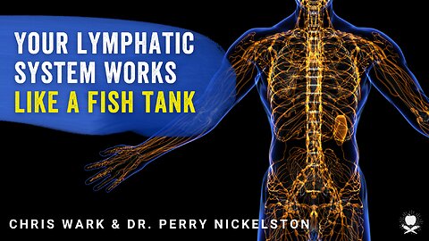 You lymphatic system works like a fish tank