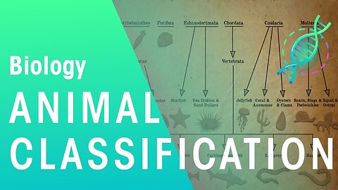 Animal Classification | Evolution | Biology Fuse School