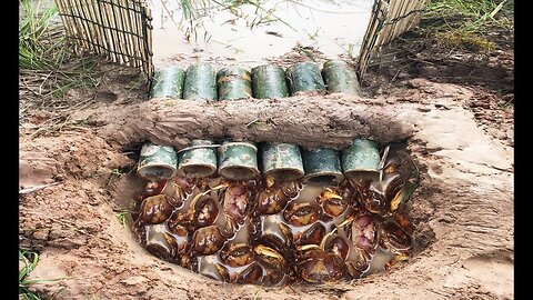 Wow! Smart Man Catch A Lot Of Crabs By Creative Deep Hole Crab Trap Using 6 Bamboo
