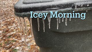 Icey Morning, February 2, 2023