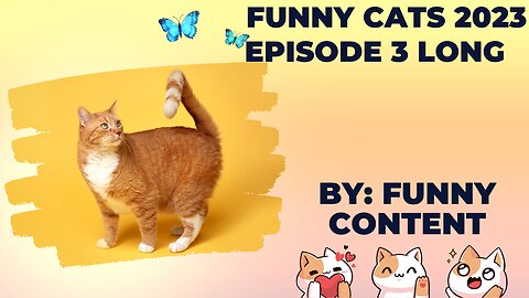 Funny cat videos are a timeless and universally adored form of entertainment