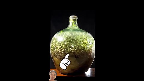 Garden In This Bottle Was Watered 51 Years Ago |Amazing facts #shorts @ItsFacts @FactsMine #facts