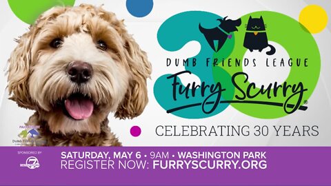 2023 Furry Scurry Registration Opens 11AM News