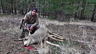 Road Chickens and Mule Deer Hunting (British Columbia, Canada)