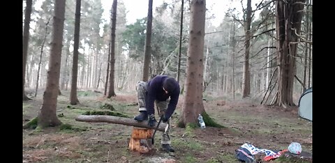 Using the agawa boreal saw to saw firewood 20th Jan 2023