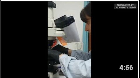 Analysis of the "Qdenga vaccine" under the microscope, video 2 | La Quinta Columna
