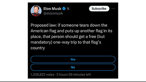 Elite Politics: Elon Musk proposes a RATIONAL new law | An Example of Operation America First?