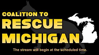 Rescue Michigan: Become a Precinct Delegate.