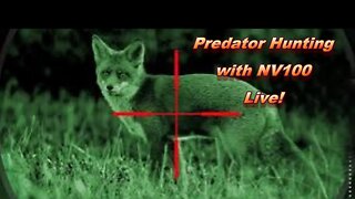 Nite time predator hunting with the NV100!