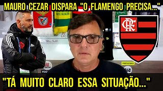 "Tá Muito Claro Essa Situação..." Mauro Cezar Analisa FLAMENGO e Dispara "O Flamengo Precisa..."