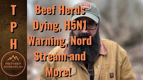 Beef Herds Dying, H5N1 Warning, Nord Stream and More! Get Ready!!