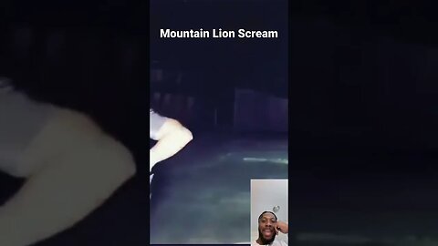 Police officer gets back in the car after hearing a mountain lion scream! 🤣😂