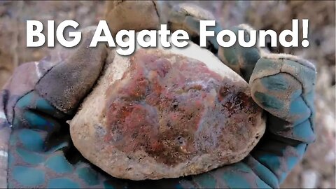 Monster Agate Found | Minnesota Rock Hunting