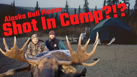 Alaska Bull Moose, MDMM Season 4, Episode #10 of 10