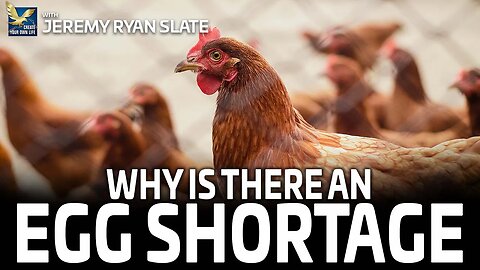 Why Is There An Egg Shortage? | Jeremy Ryan Slate