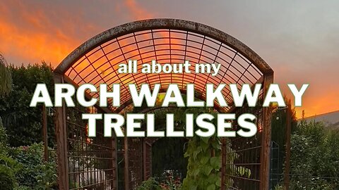My ARCH TRELLISES: what I LOVE - and what I'd CHANGE