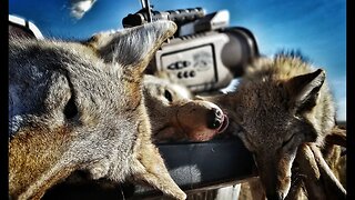 16 coyotes in 1 day including a coyote biting the call!! The Last Stand S2 - E6