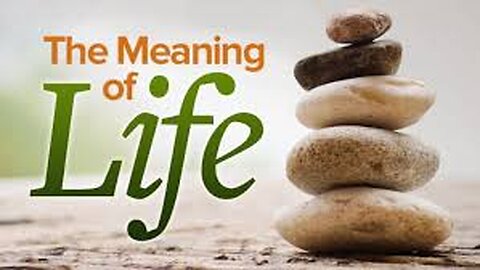 The Meaning of Life Marvin v David