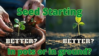 seed starting in pots or in ground?