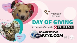 Michigan Humane Pet of the Week